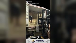 Leichtgängige, weiße Lenkrollen